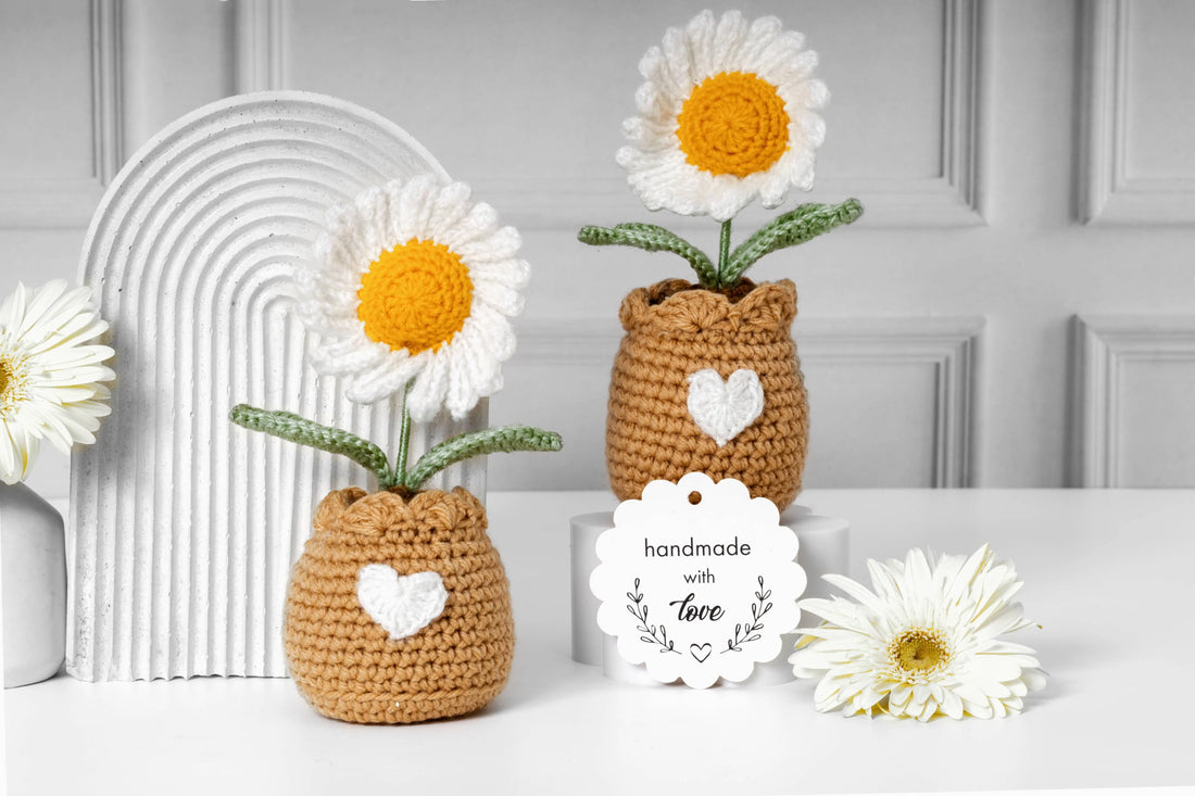 The Daisy Dream Surprise Gift Box