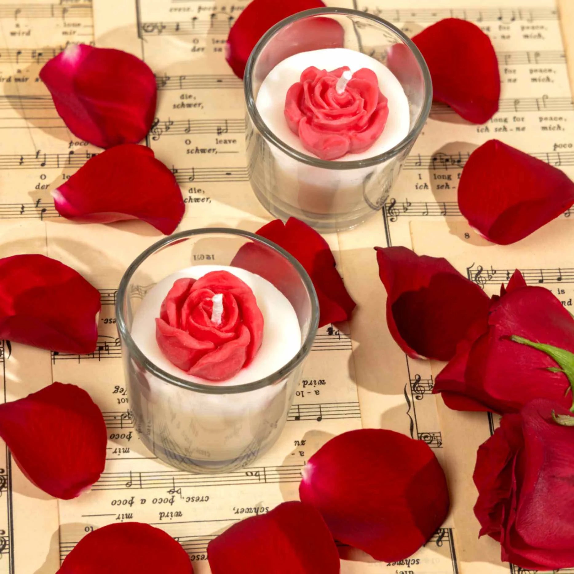 Romantic Rose Hamper for Her