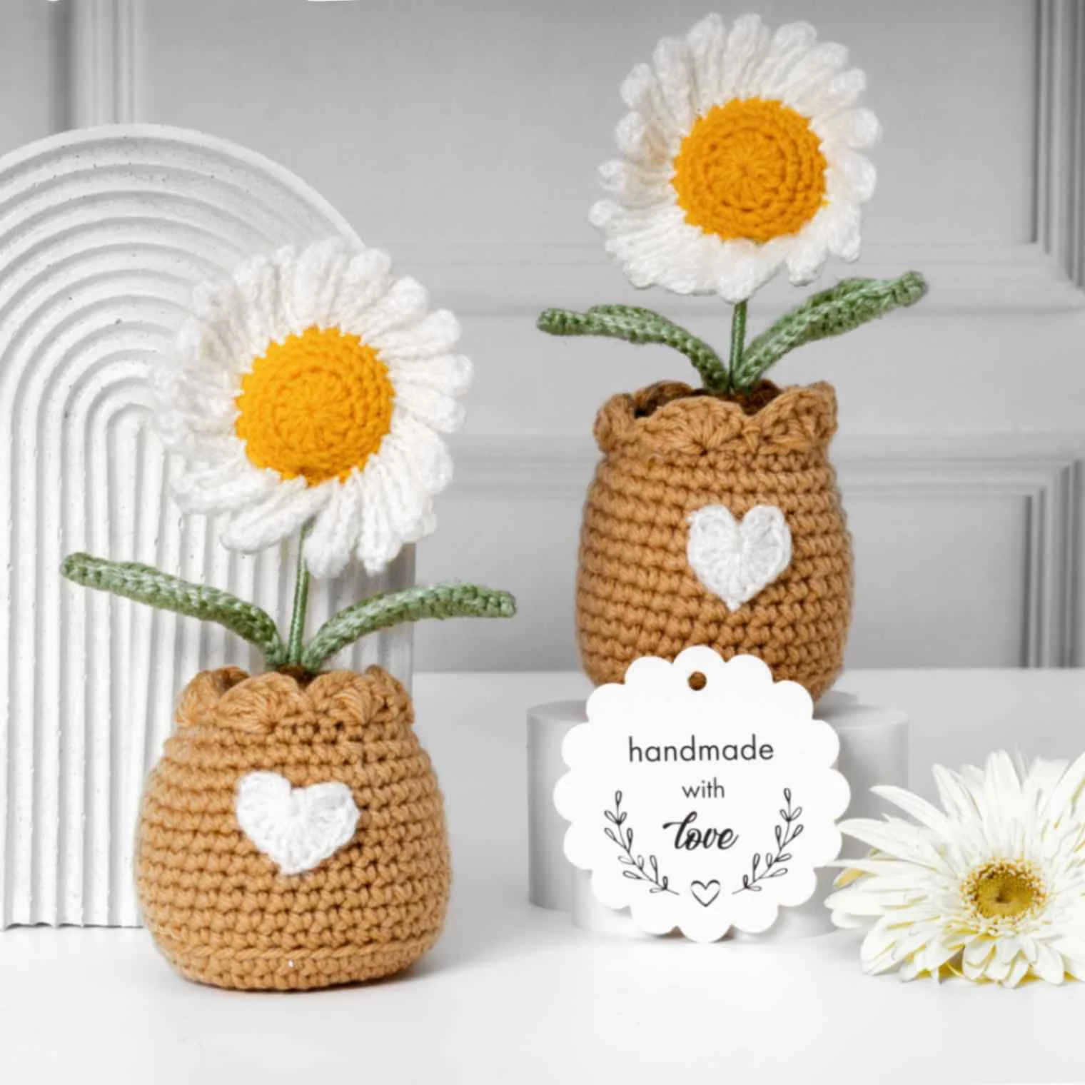 Rarejoy Box of Surprise-Daisy Theme - Image 2